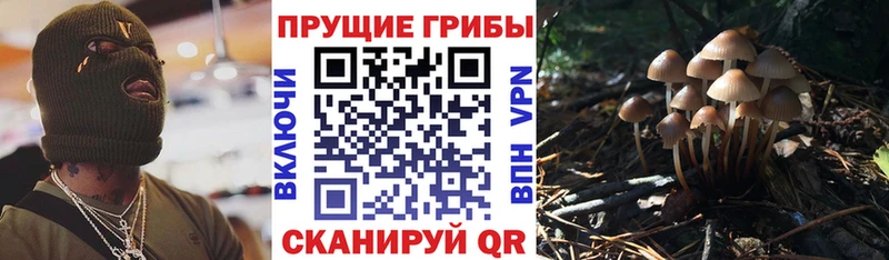 Галлюциногенные грибы Magic Shrooms  купить наркотик  МЕГА онион  Магнитогорск 